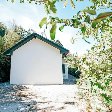 Holiday home Casa Colina E Lobos By Quantique Vieira do Minho