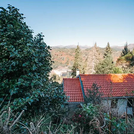 Casa Colina E Lobos By Quantique *