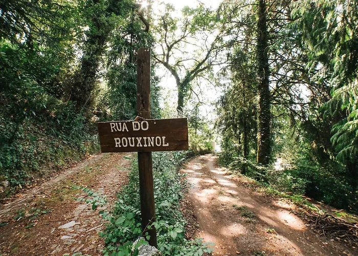 Casa Colina E Lobos By Quantique Casa de Férias Vieira do Minho